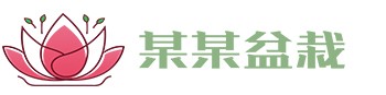 sunbet·(中国区)有限公司官网